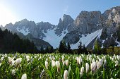 Due grandi cime: Cimon della Bagozza e Mengol in Val di Scalve e la piccola cima di Tisa da Vertova - FOTOGALLERY